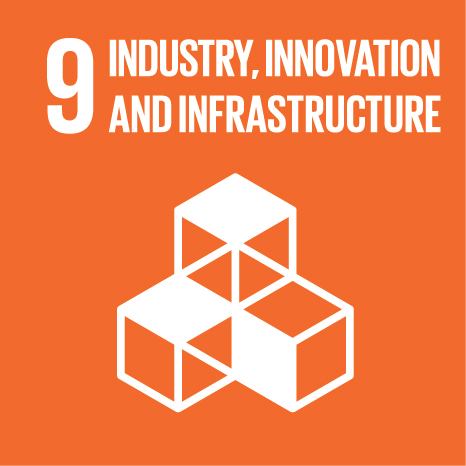 SDG 9 Logo